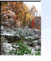 Franson Swamp photo